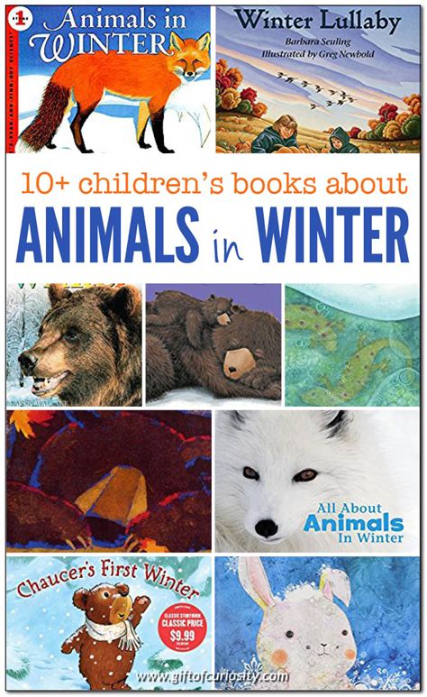 Books about animals in winter - Gift of Curiosity