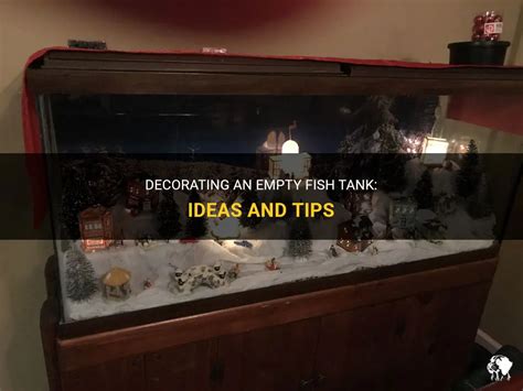 Decorating An Empty Fish Tank: Ideas And Tips | PetShun