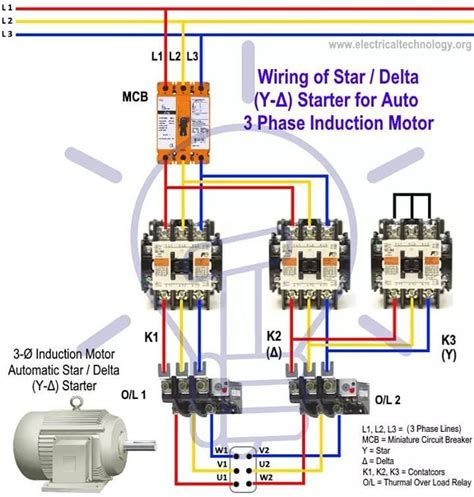 Weg Electric Motor Wiring Diagram - Jatam Bila