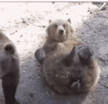 Fancybear Fancybear2 GIF - Fancybear Fancybear2 - Discover & Share GIFs