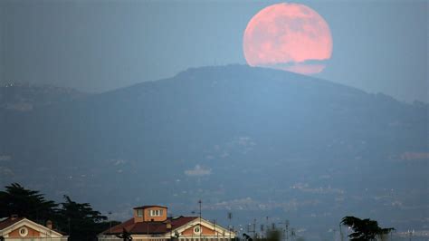 The's a Pink Moon Tonight | Teen Vogue