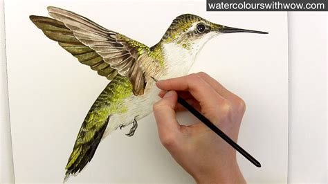 How to paint realistic hummingbird feathers in watercolor by Anna Mason - YouTube