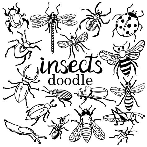 big set of insects in doodle, in black by hand. collection of fly, bee, grasshopper, moth and ...