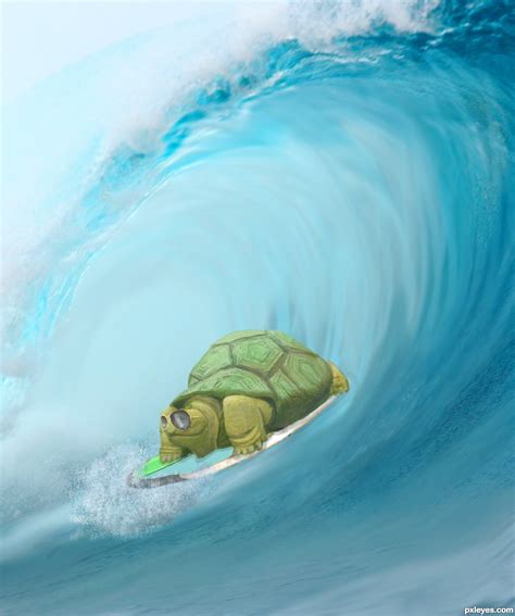 Surfing turtle | D's Stuff | Pinterest | Turtle