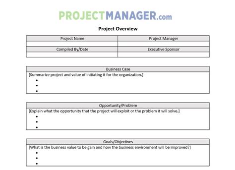 Project Overview Template - ProjectManager.com