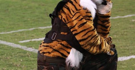 Jackson State Tigers mascot | College Mascots: SWAC | Pinterest | Tigers, Search and US states