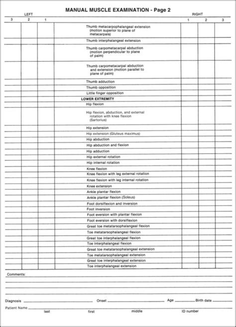 Manual Muscle Testing Chart Printable