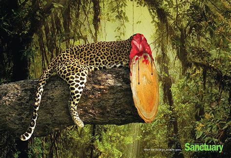 Shocking Effects Of Deforestation Exposed In Brutal Print Ads