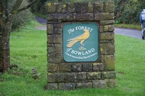 Forest of Bowland Attractions | Things to do in Forest of Bowland