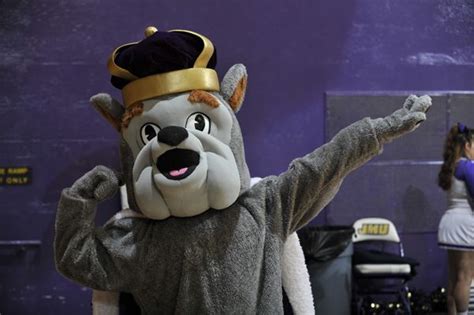 James Madison Dukes mascot, Duke Dog. | Mascotas, Simbolos, Equipo