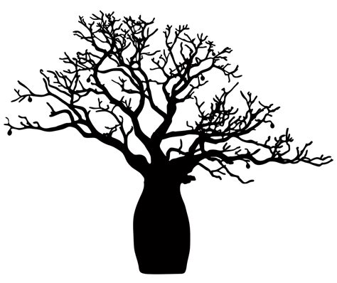 Baobab Tree Silhouette