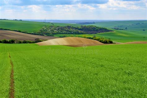 Wavy Spring Fields in South Moravia. Moravian Tuscany, South Moravia ...