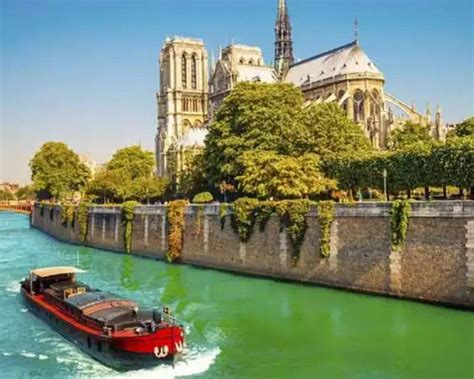 Seine River Cruise with Entrance to Louvre Museum Reserved Access