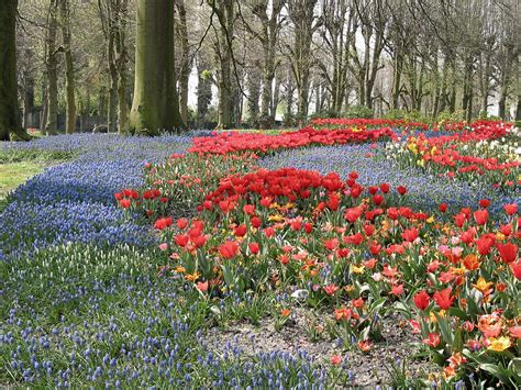 Flower Show in Belgium - Your Travel Experience