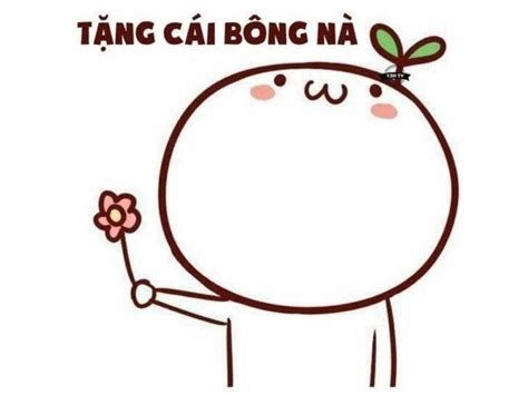 25+ Ảnh Meme Cảm Ơn Cute và Cà Khịa Cực Mạnh - Coolmate