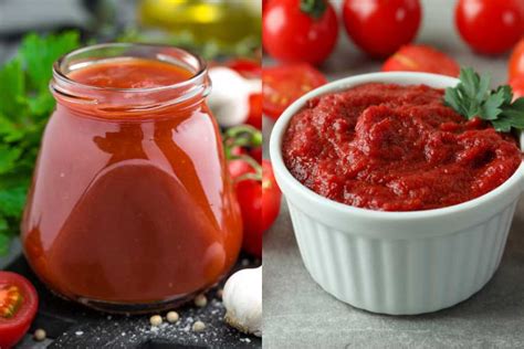 Understanding Differences: Tomato Purée vs. Paste Guide