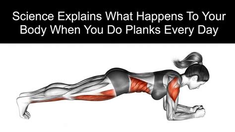 The 4 Main Benefits of the Plank... - Island Yoga Coronado