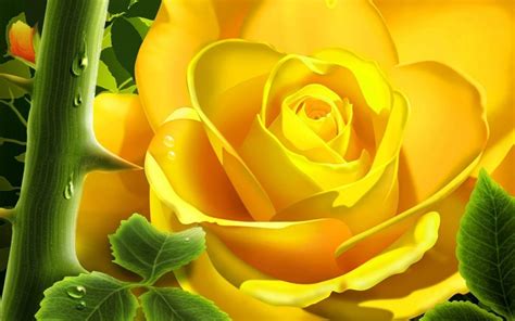 8K Flower Wallpapers - Top Free 8K Flower Backgrounds - WallpaperAccess