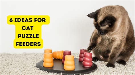 6 DIY Cat Puzzle Feeders