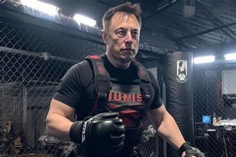 Zuckerberg vs Musk: AI predicts who would win in cage fight, bake-off ...