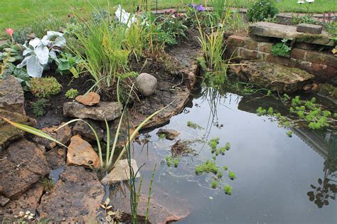 Pond Restoration | J.K Conservation