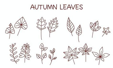 Free Vectors | autumn leaf line drawing icon set