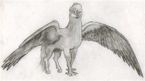 Hippogriff, Harry Potter Drawing - xxsoulsurvivorxx © 2015 - May 21, 2012 | Harry potter ...