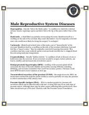 Male Reproductive System Diseases.pdf - Male Reproductive System Diseases Hypospadias ...