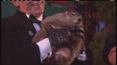 Punxsutawney Phil sees his shadow, predicts six more weeks of winter ...