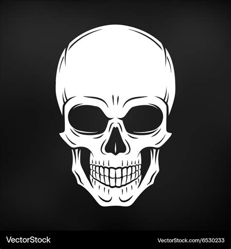 Human evil skull jolly roger logo template Vector Image