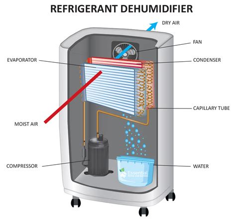 The 7 Best Dehumidifiers For Basements - Best Picks Of 2024