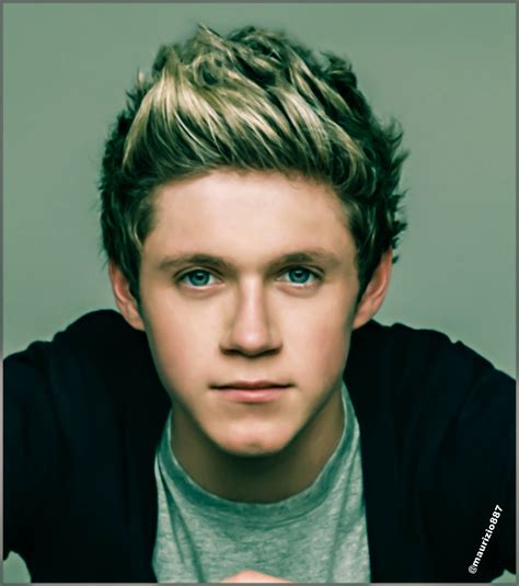 Niall Horan 2013 - One Direction Photo (35936708) - Fanpop