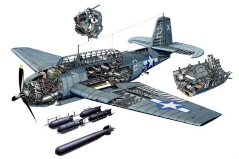 lex-for-lexington: “Cut-away diagram of a TBM Avenger torpedo bomber ...