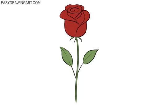 Easy Drawing Of A Rose