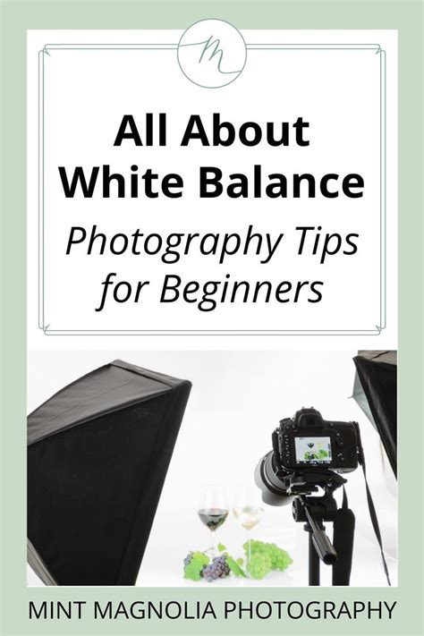 White Balance Photography Tips - Learn What it is and the Camera ...