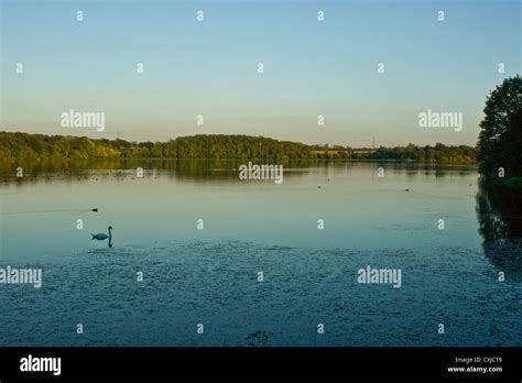 Evening at Swithland Reservoir, Leicestershire Stock Photo - Alamy