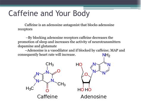 PPT - The Effect of Caffeine on Test Performance PowerPoint Presentation - ID:2324526