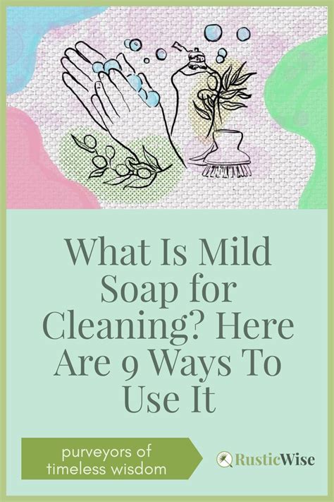 If you’re looking to clean around the house, but don’t want to use harsh chemical cleaners that ...