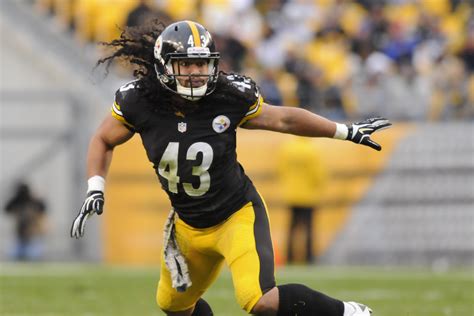 Troy Polamalu Desktop