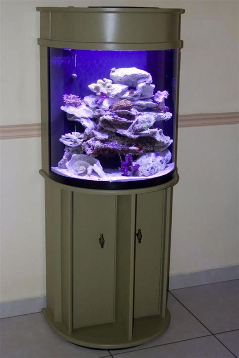 Half Moon Aquarium 30 Gallon | Aquarium stand, Aquarium, Fresh water fish tank