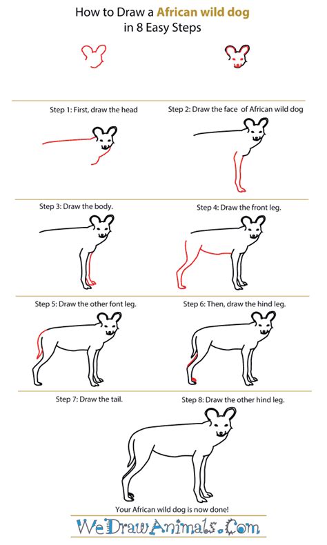 How to Draw an African Wild Dog