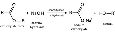 Hidrólisis | Qué es, tipos, grado, química, ácida, alcalina, enzimática, ejemplos