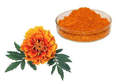 Natural Pigment Xanthophyll Marigold Flower Herbal Extract Powder