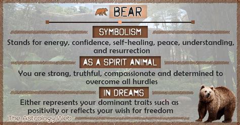 Bear Meaning and Symbolism in 2020 (With images) | Bear spirit animal, Bear meaning, Spirit ...