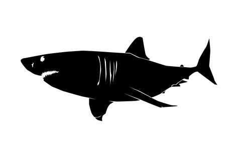 Great White Shark Silhouette Graphic by RFG · Creative Fabrica