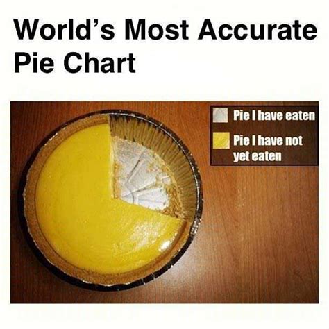 World's most accurate pie chart | Funny pie charts, Math humor, Bones funny