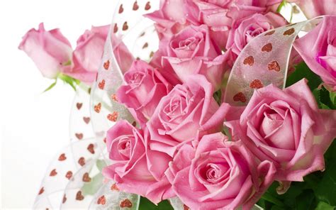 Pretty Pink Roses Wallpaper - Pink (Color) Photo (34590797) - Fanpop