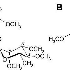 (PDF) Biosynthesis of elloramycin in Streptomyces olivaceus requires glycosylation by enzymes ...