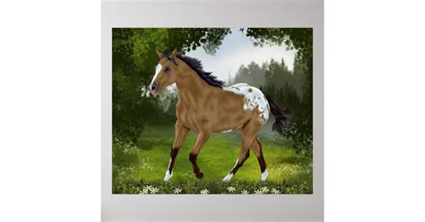 Buckskin Appaloosa Horse Poster | Zazzle