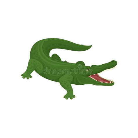 Crocodile Open Mouth Clipart - Crocodile